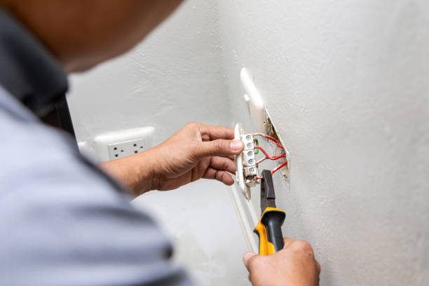 Best Electrical Outlet Repair  in Mayville, MI